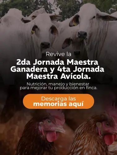 Jornada 