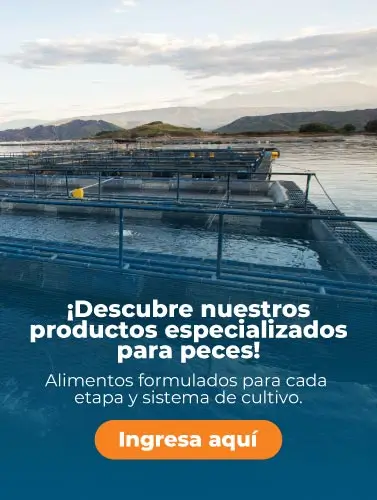 Jornada 