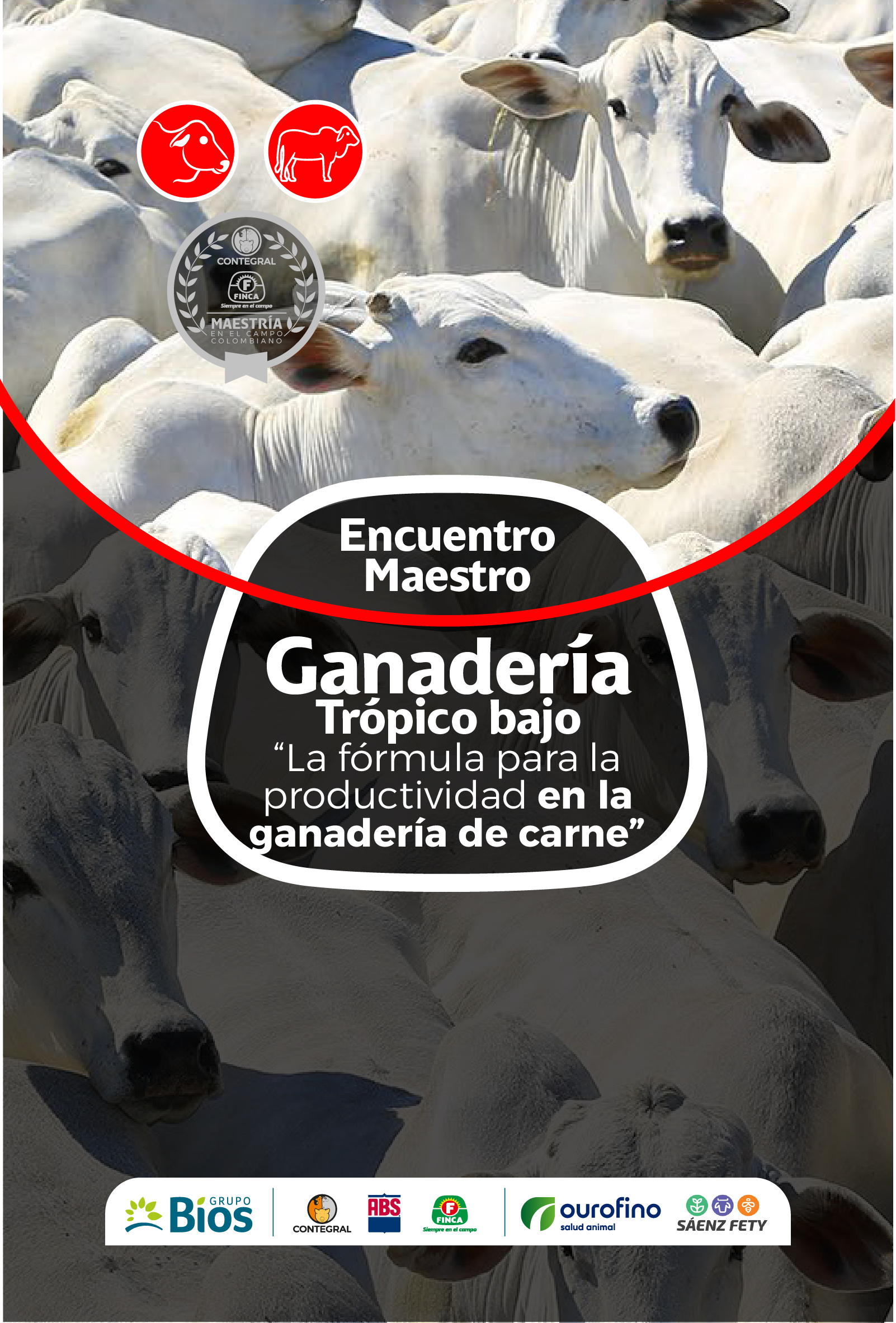 jornada_ganadera638531374832184829