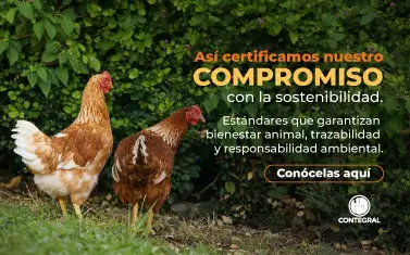 Banner Certificaciones