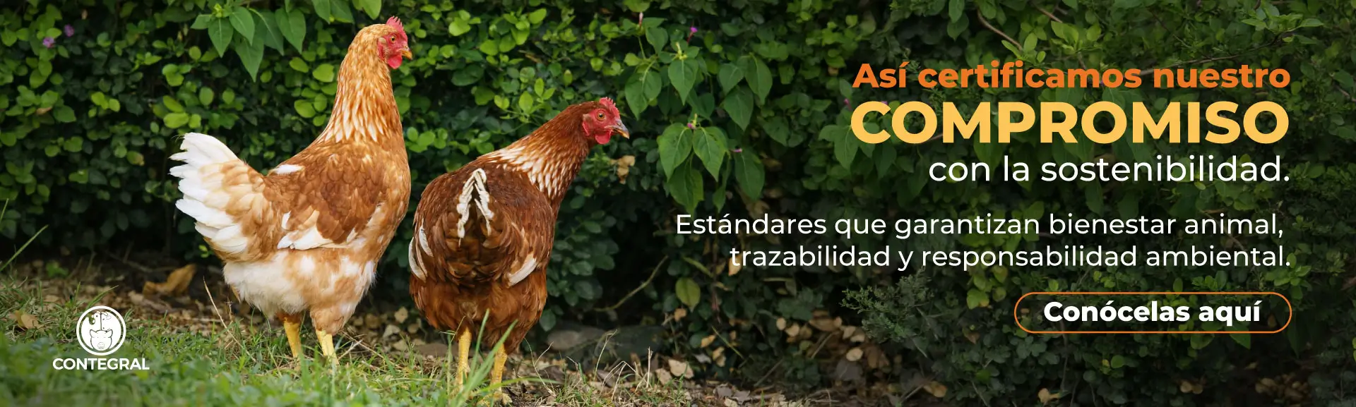 Banner Certificaciones