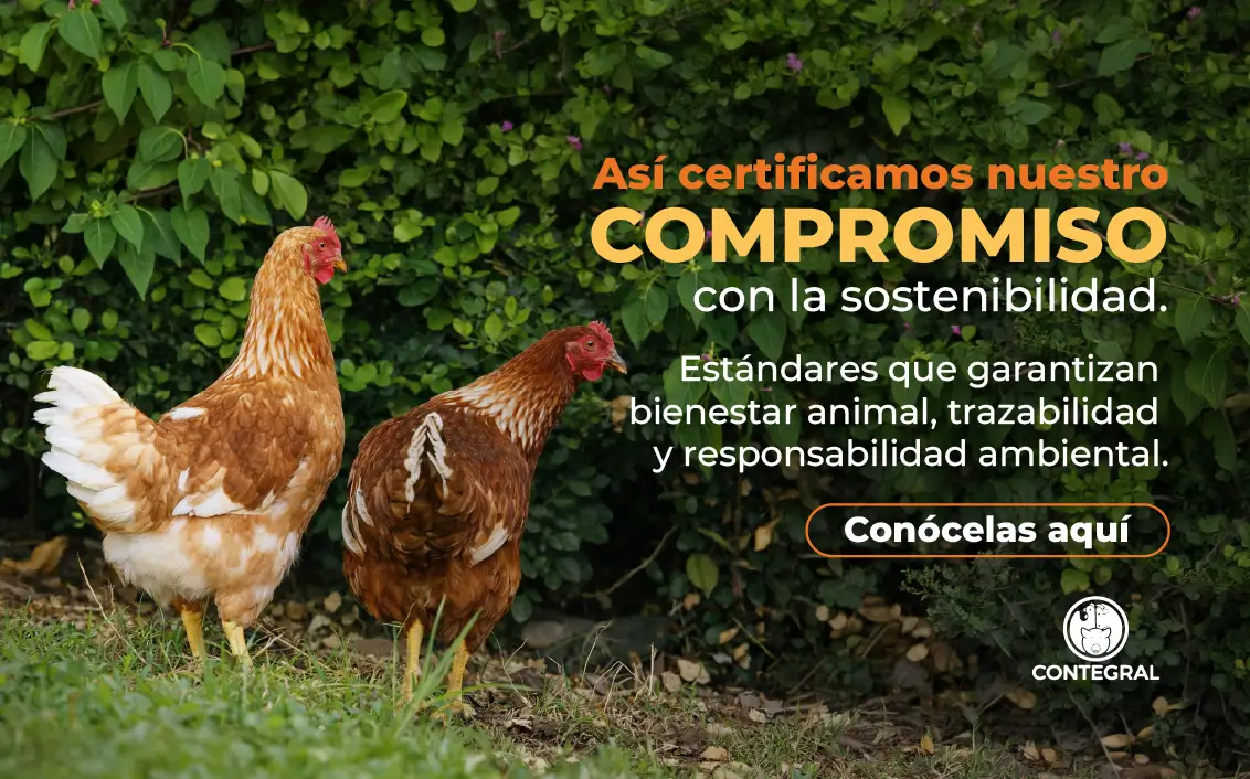 Banner Certificaciones