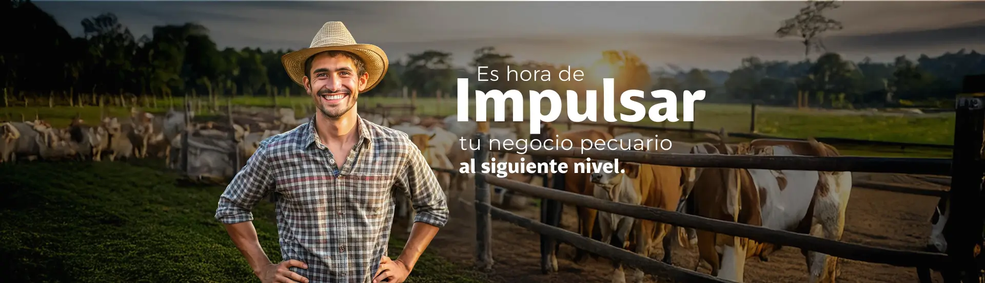 Descargables
