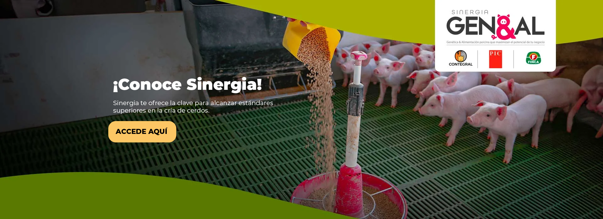 ¡Descubre Sinergia!