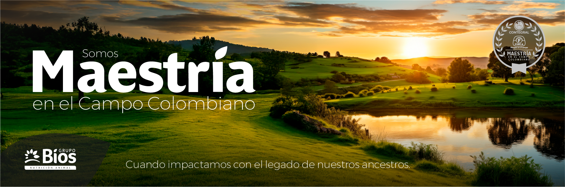 Sinergia