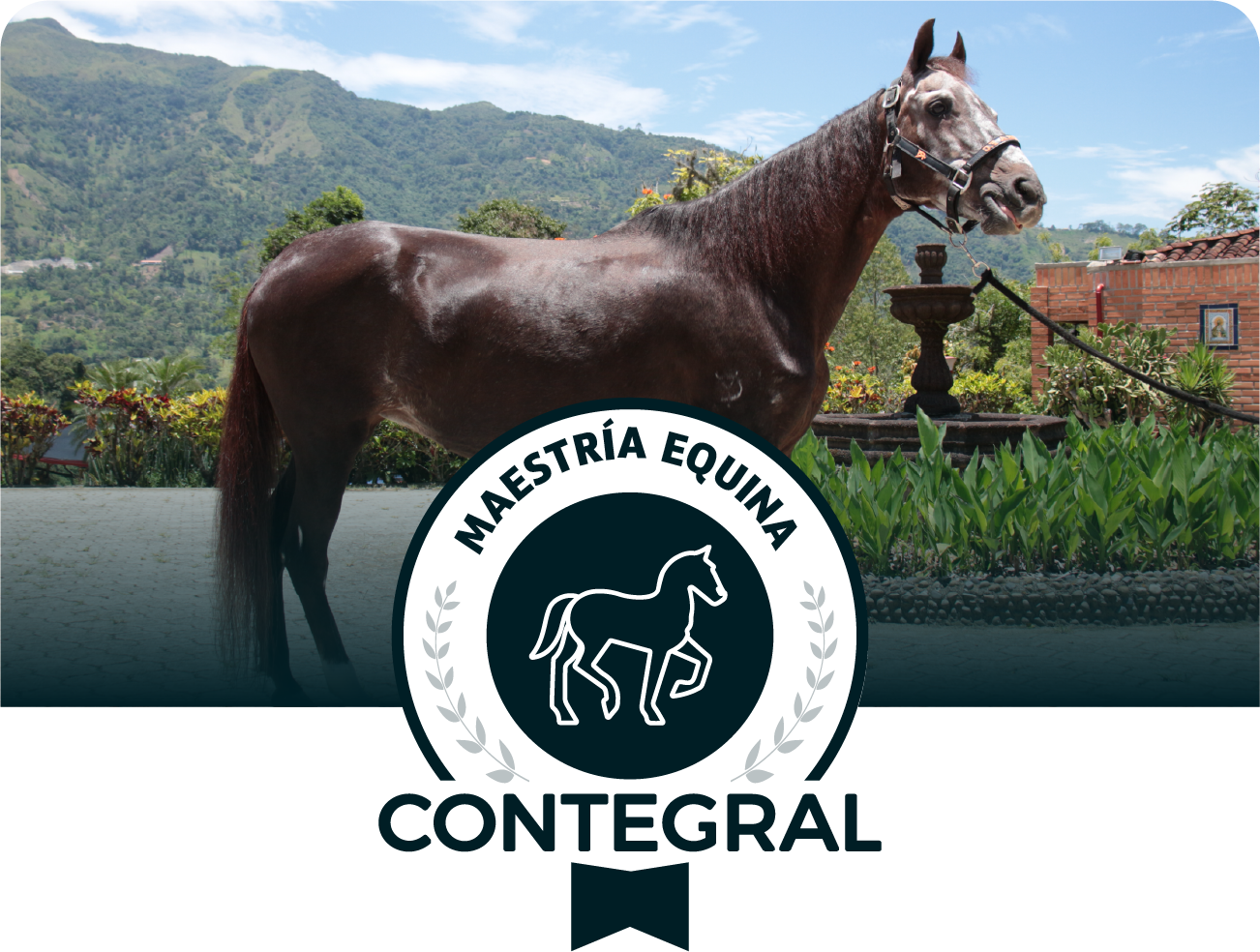 Equino