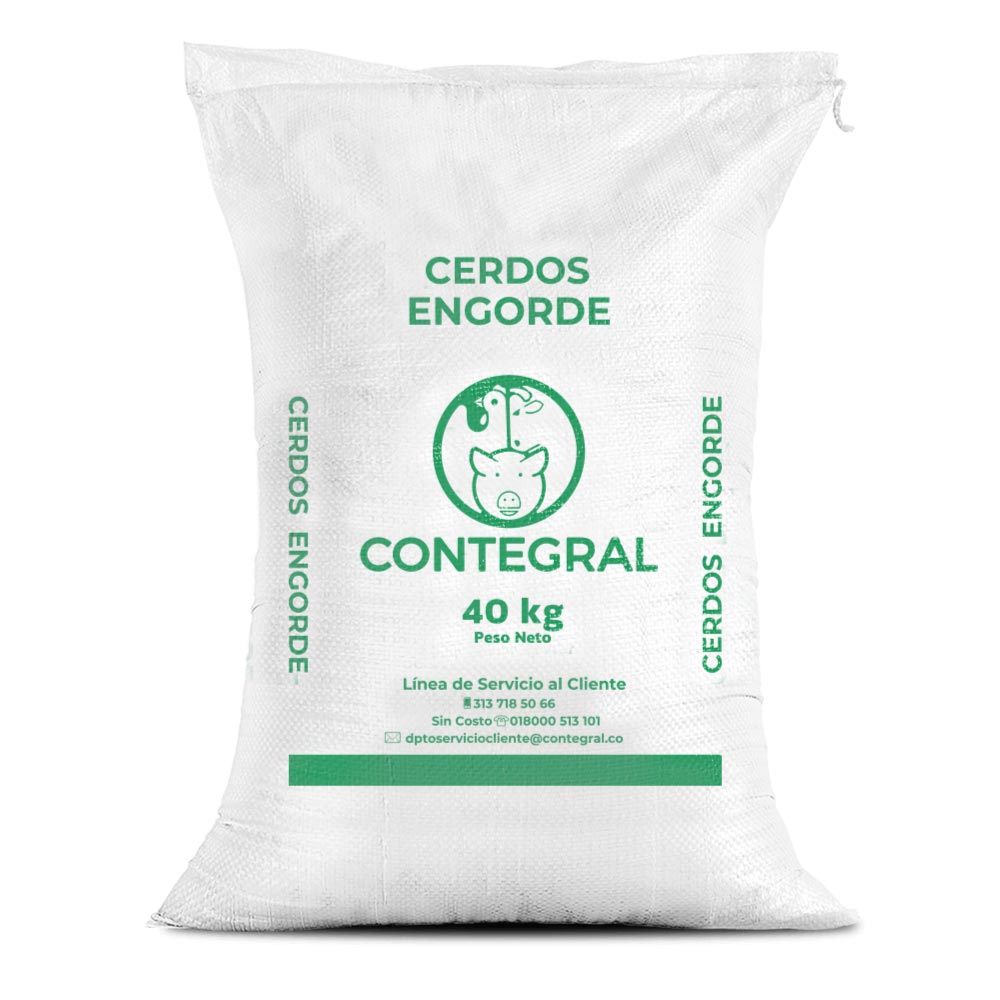 Cerdos Engorde