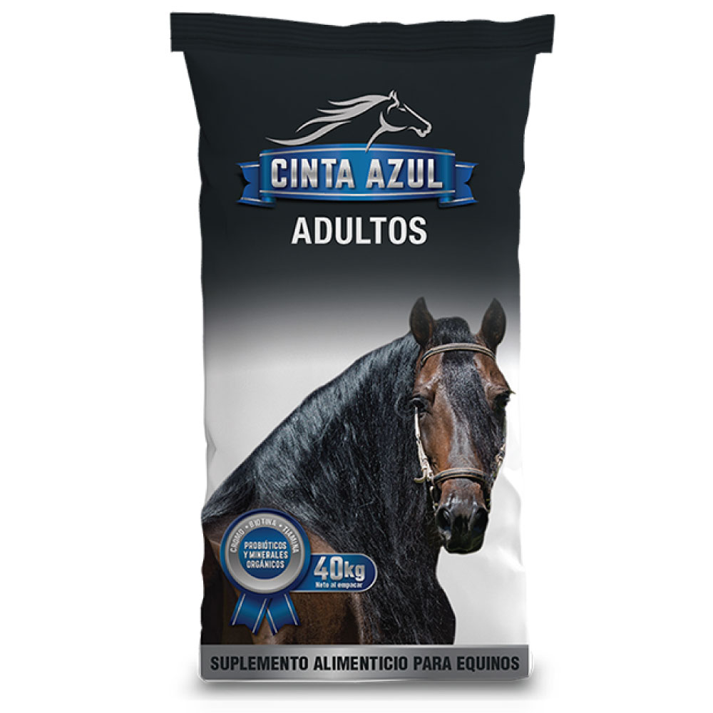 Cinta Azul Caballos Adultos