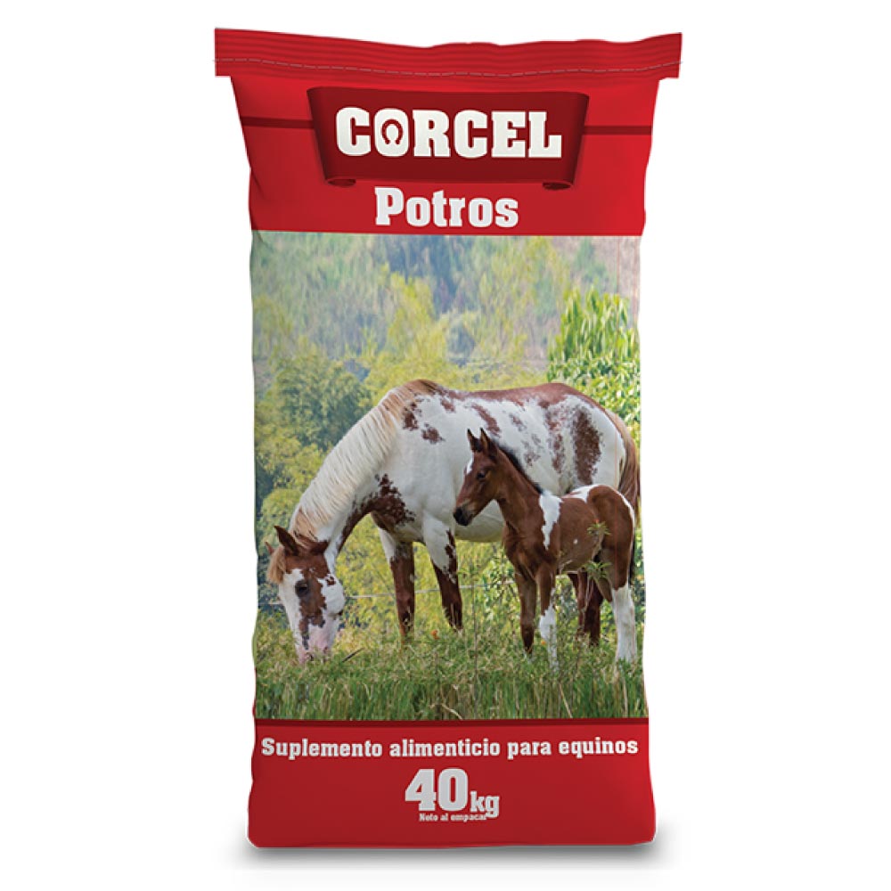 Corcel Potros