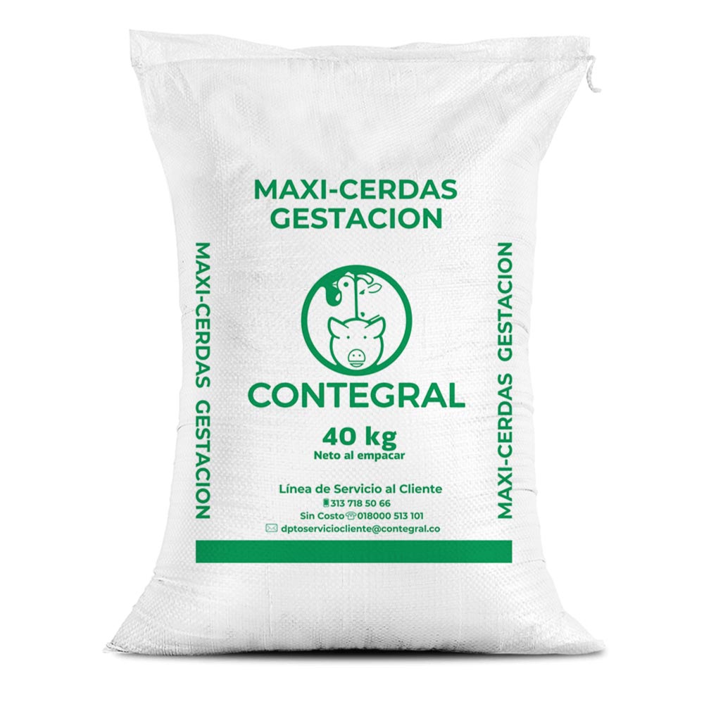 Maxi-Cerdas Gestación