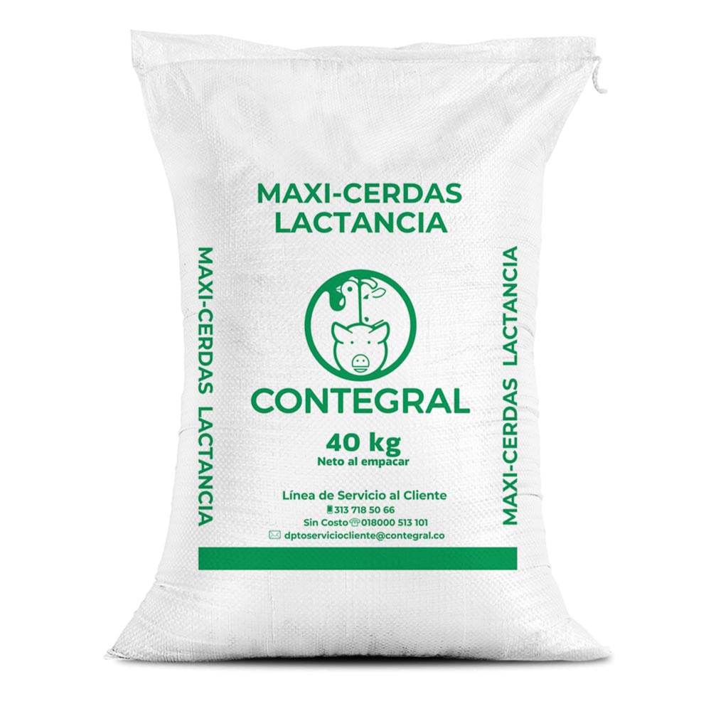 Maxi-Cerdas Lactancia