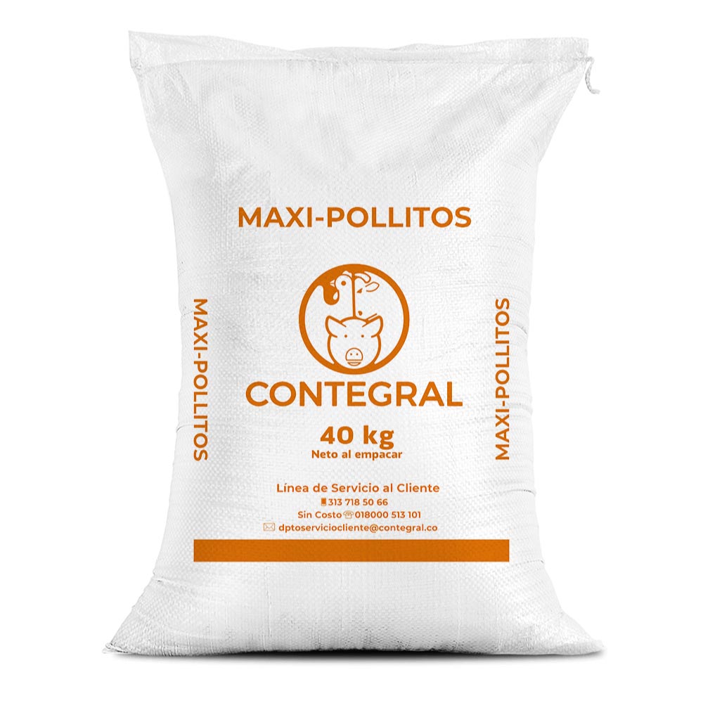 Maxi Pollitos