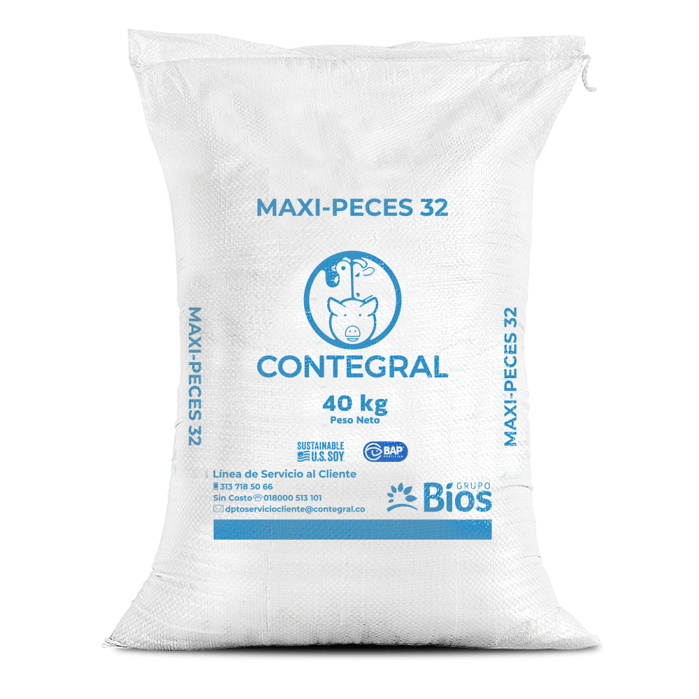 Maxi-Peces 32