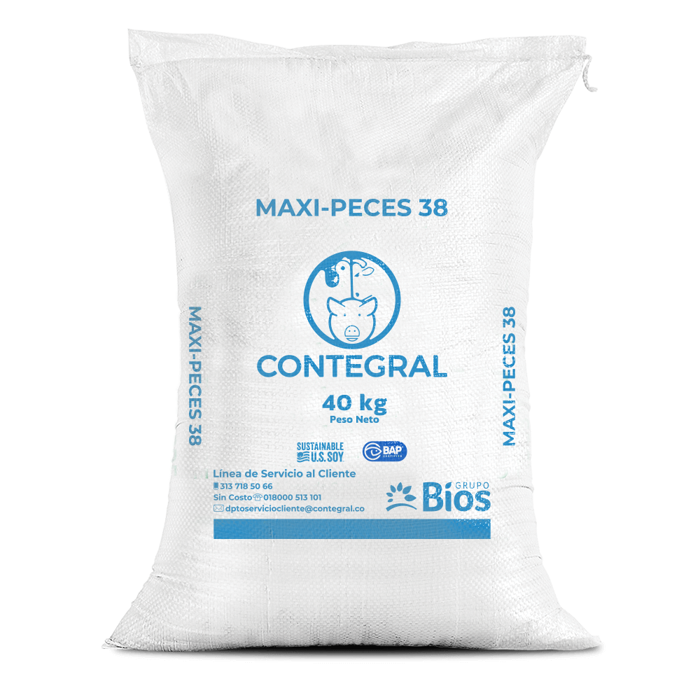 Maxi-Peces 38