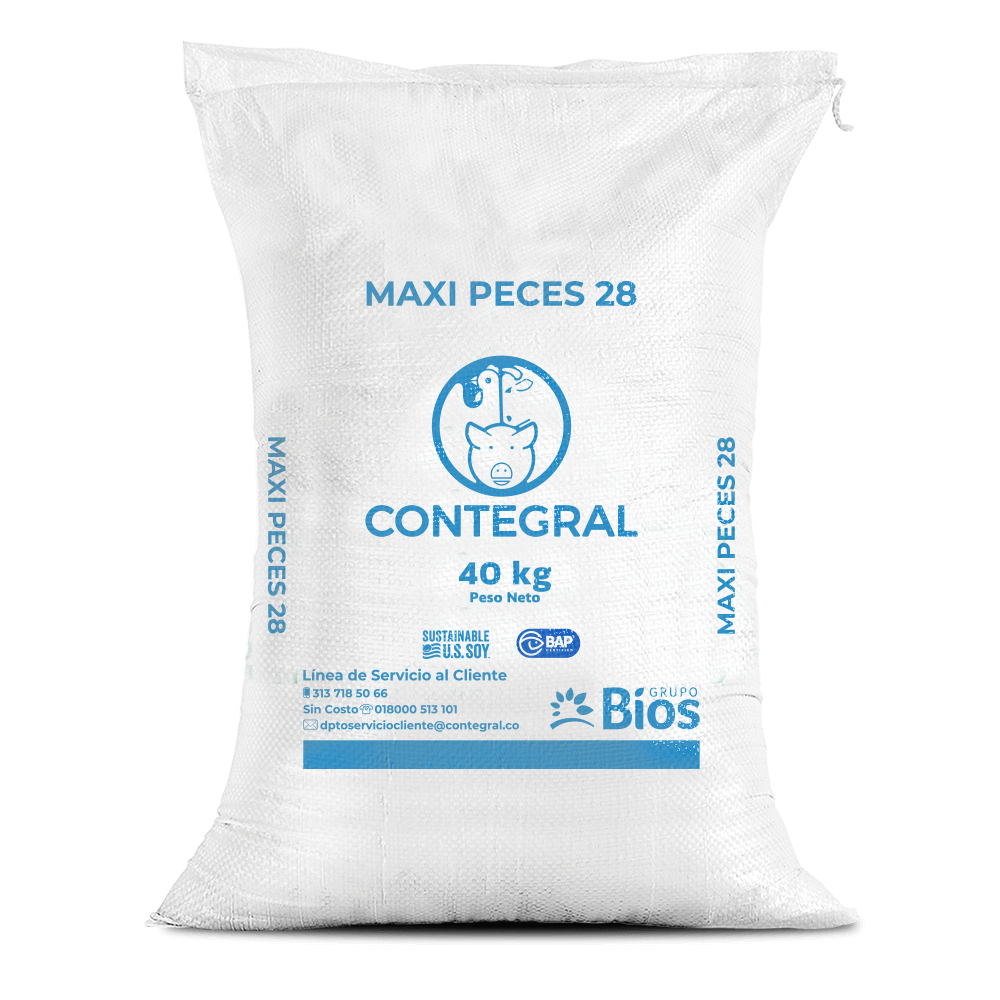 Maxi-Peces 28