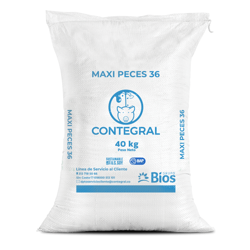 Maxi-Peces 36