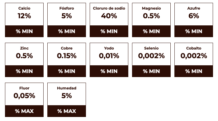 Maxisal Levante Carne