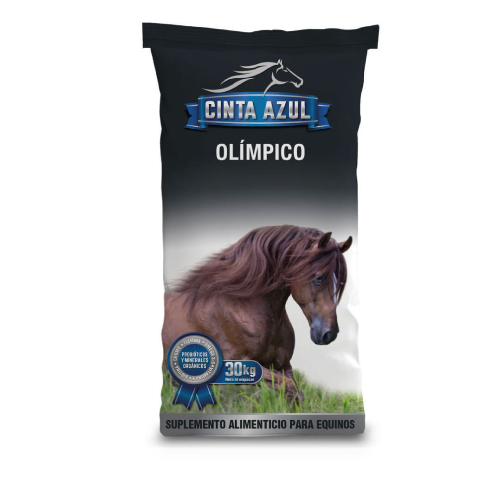 Cinta Azul Caballo Olímpico