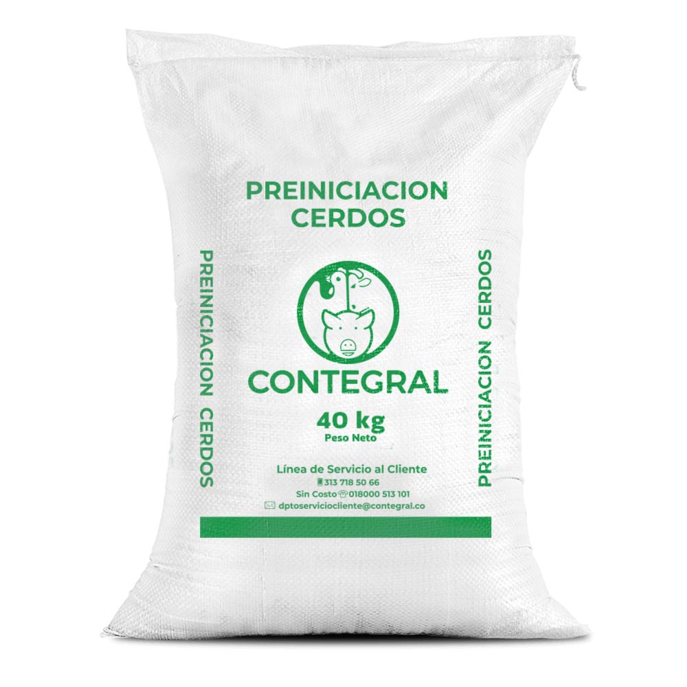 Preiniciación