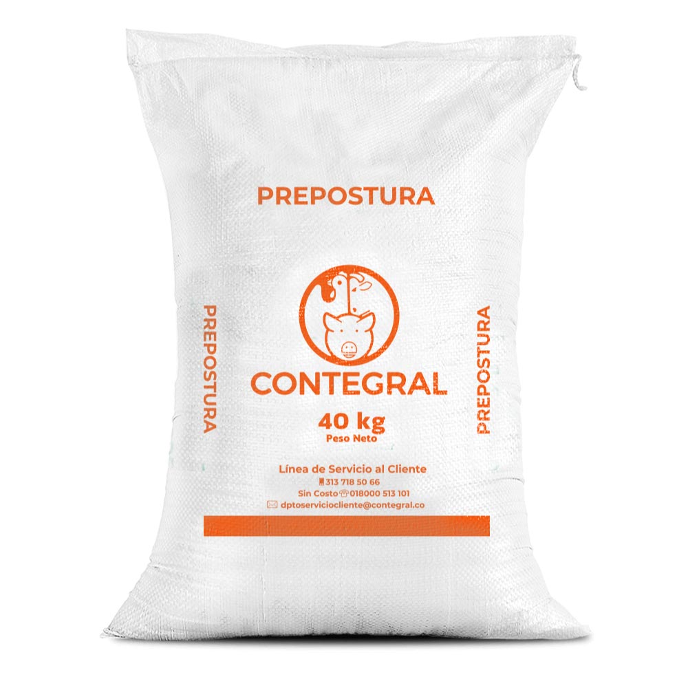 Prepostura