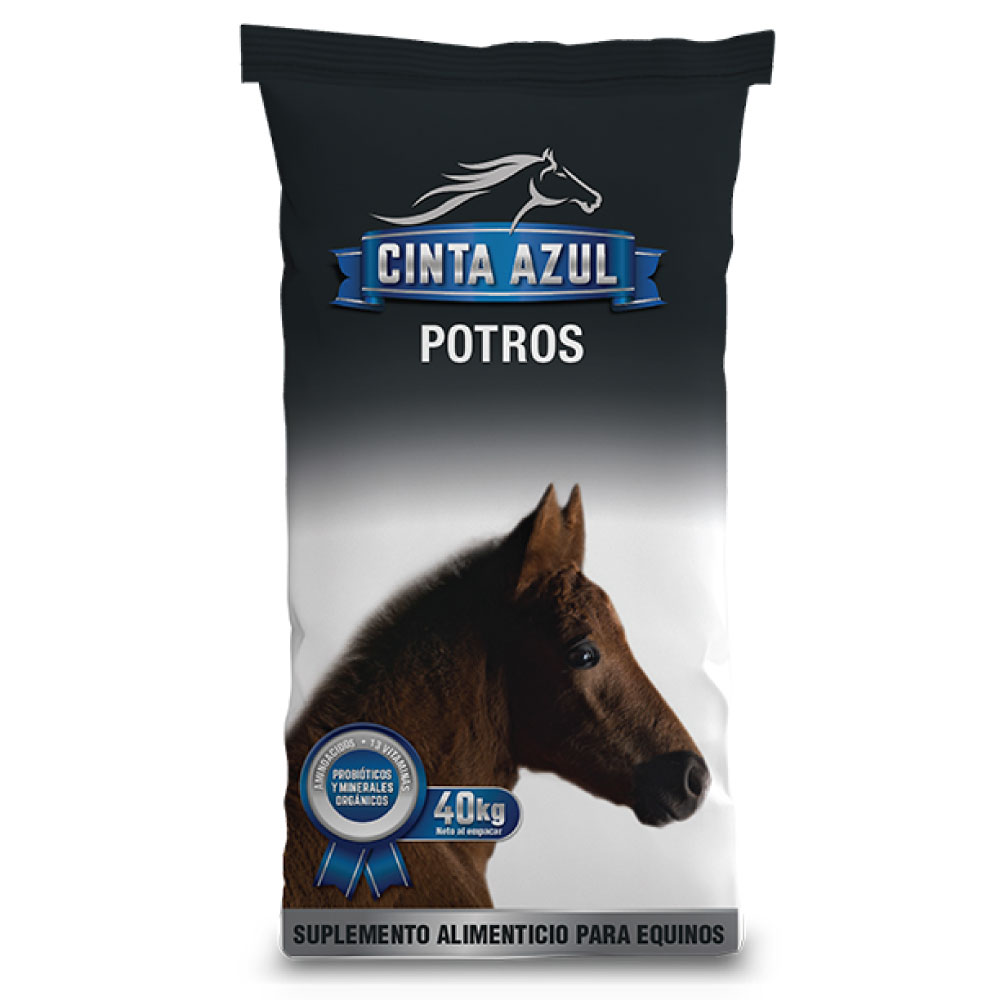 Cinta Azul Potros