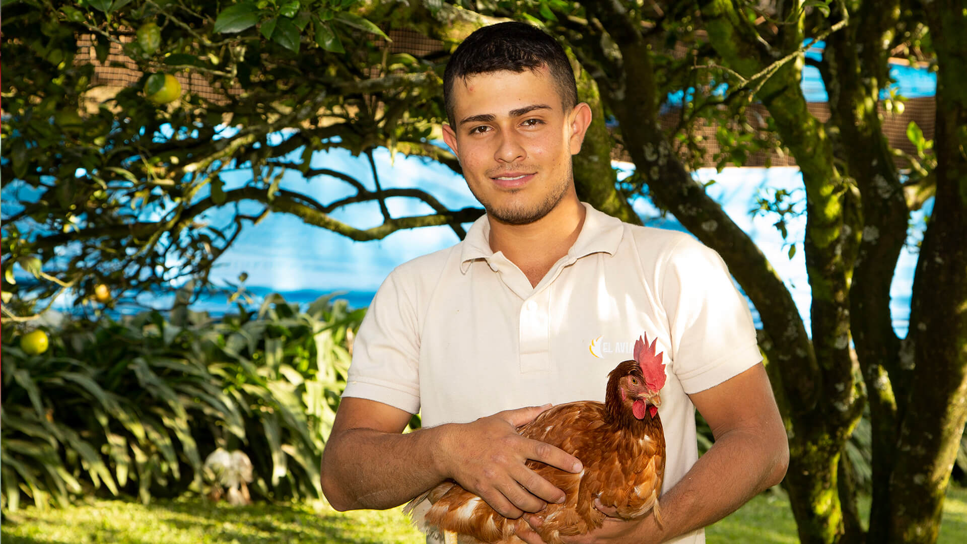 Propósito Superior