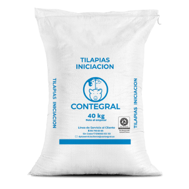 Tilapias Iniciación