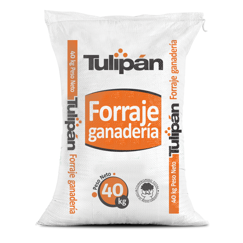 Tulipan Forraje Ganadería