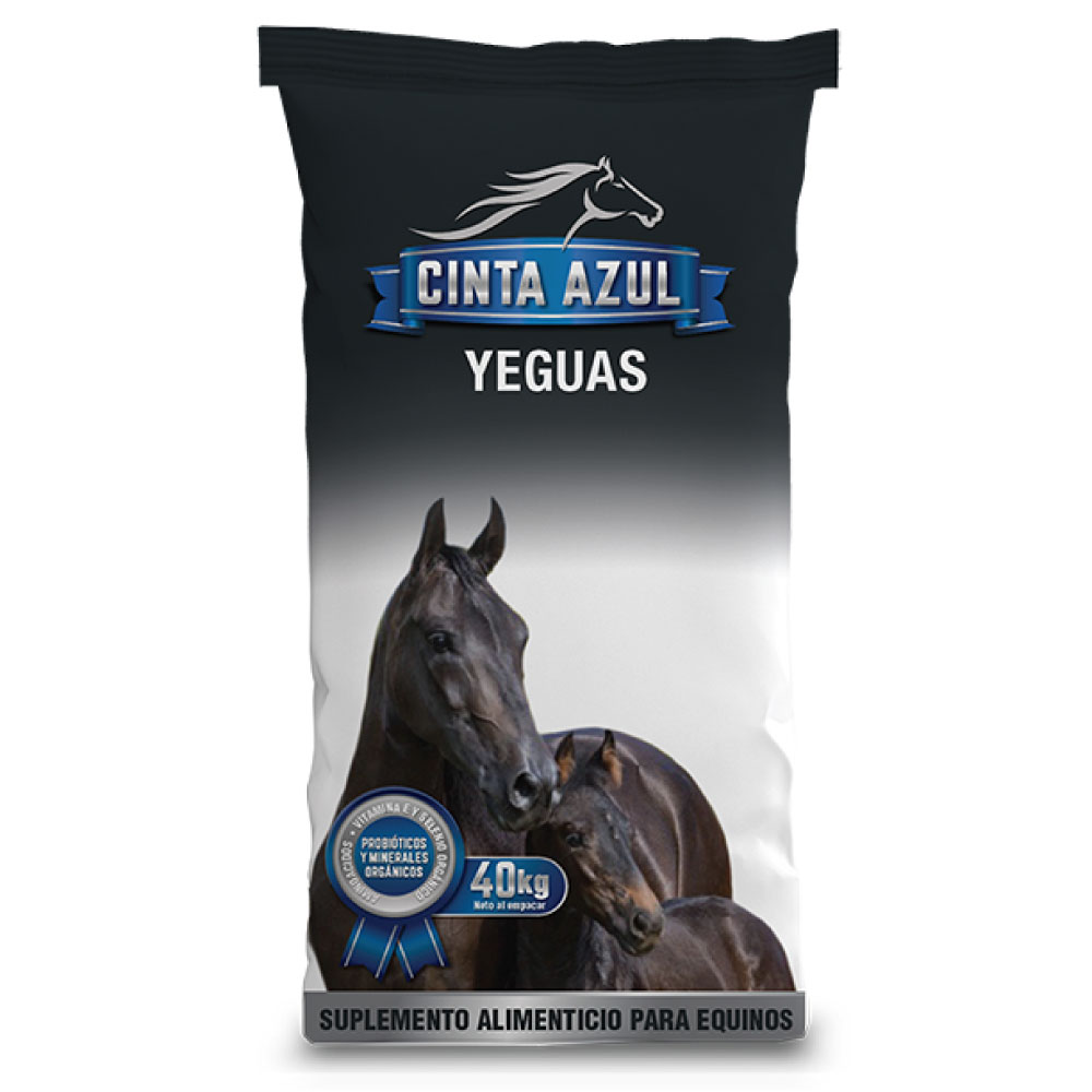 Cinta Azul Yeguas