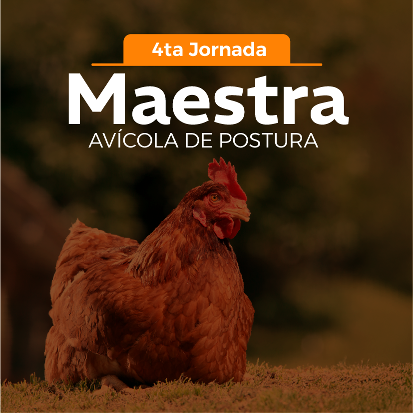 avicola_1.png