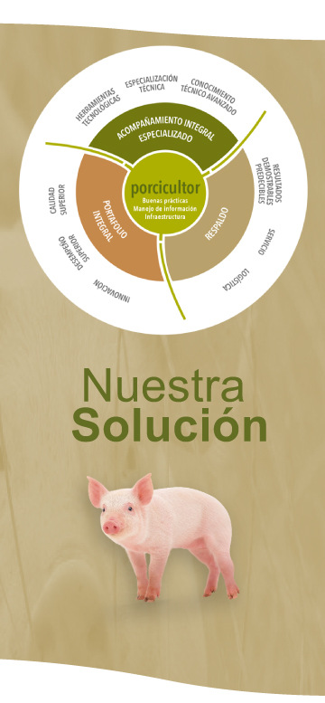 Nuestra solución