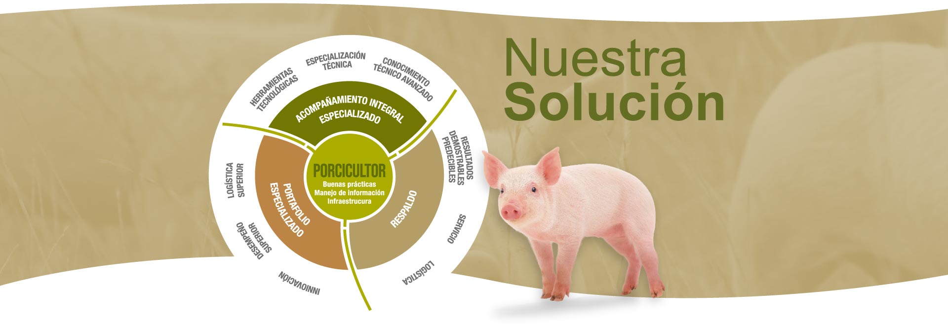Nuestra solución