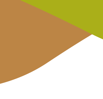 Banner-Seccion-especialización