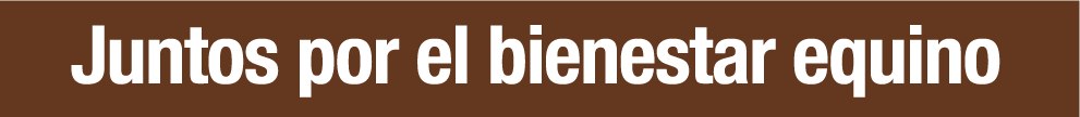 JUNTOS_LIDERES_UNEN.png JUNTOS_LIDERES_UNEN.png