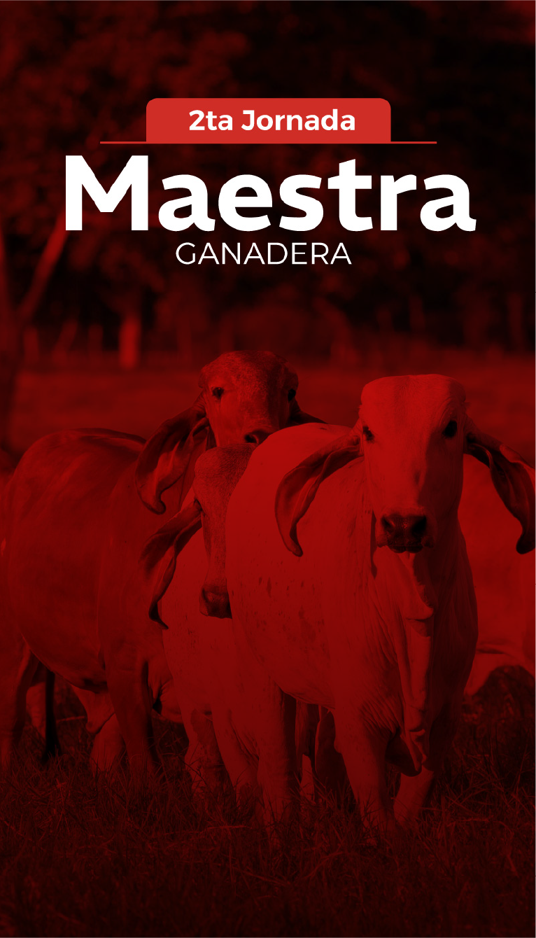 ganaderia-v1_1.png