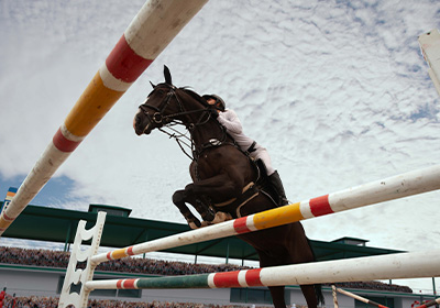 imagen-coplemento-Cuidados-básicos-para-el-bienestar-de-los-caballos-2-2.jpg imagen-coplemento-Cuidados-básicos-para-el-bienestar-de-los-caballos-2-2.jpg