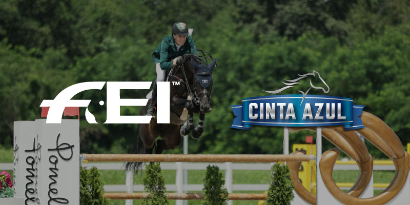 FEI Cinta Azul