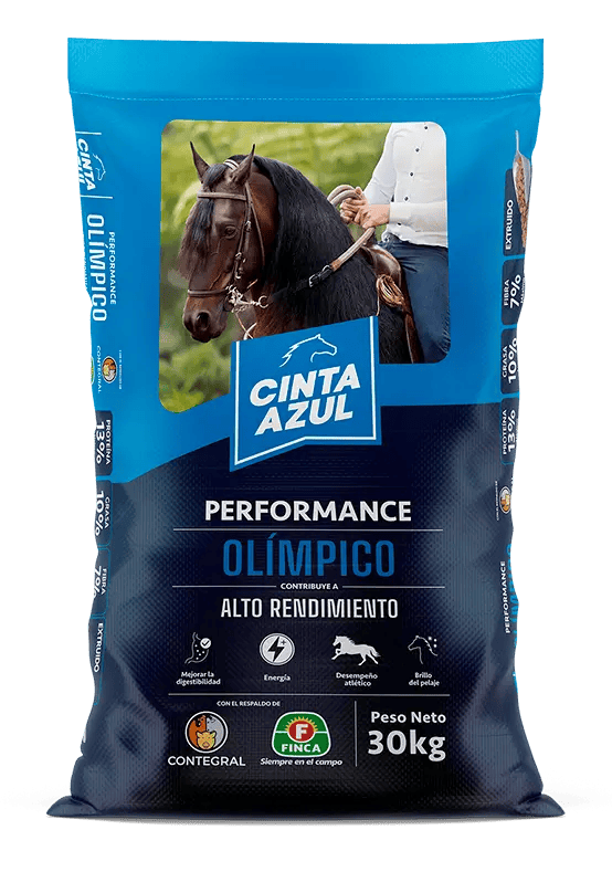 Cinta Azul Caballo Olímpico