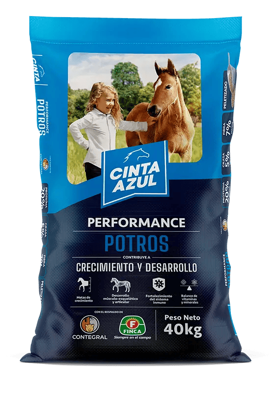 Cinta azul potros