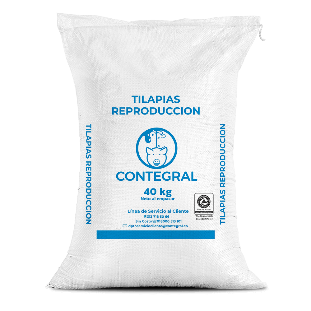 Tilapias Reproducción