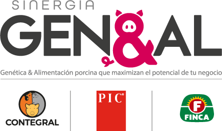 Sinergia Genial
