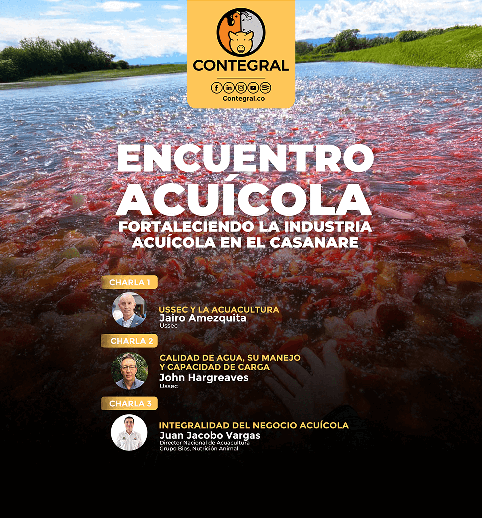 IMG638755280105965202