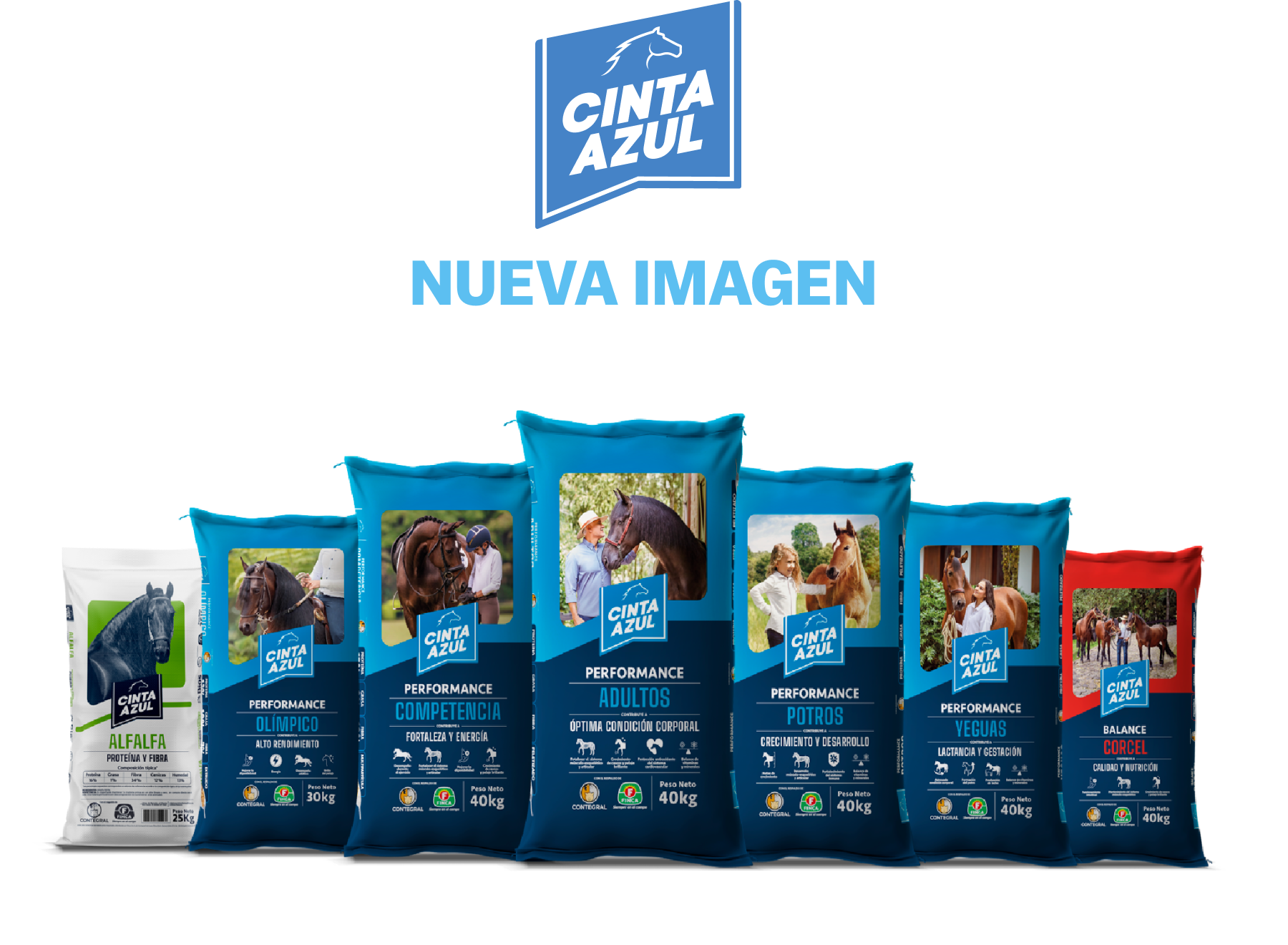 Img Cinta