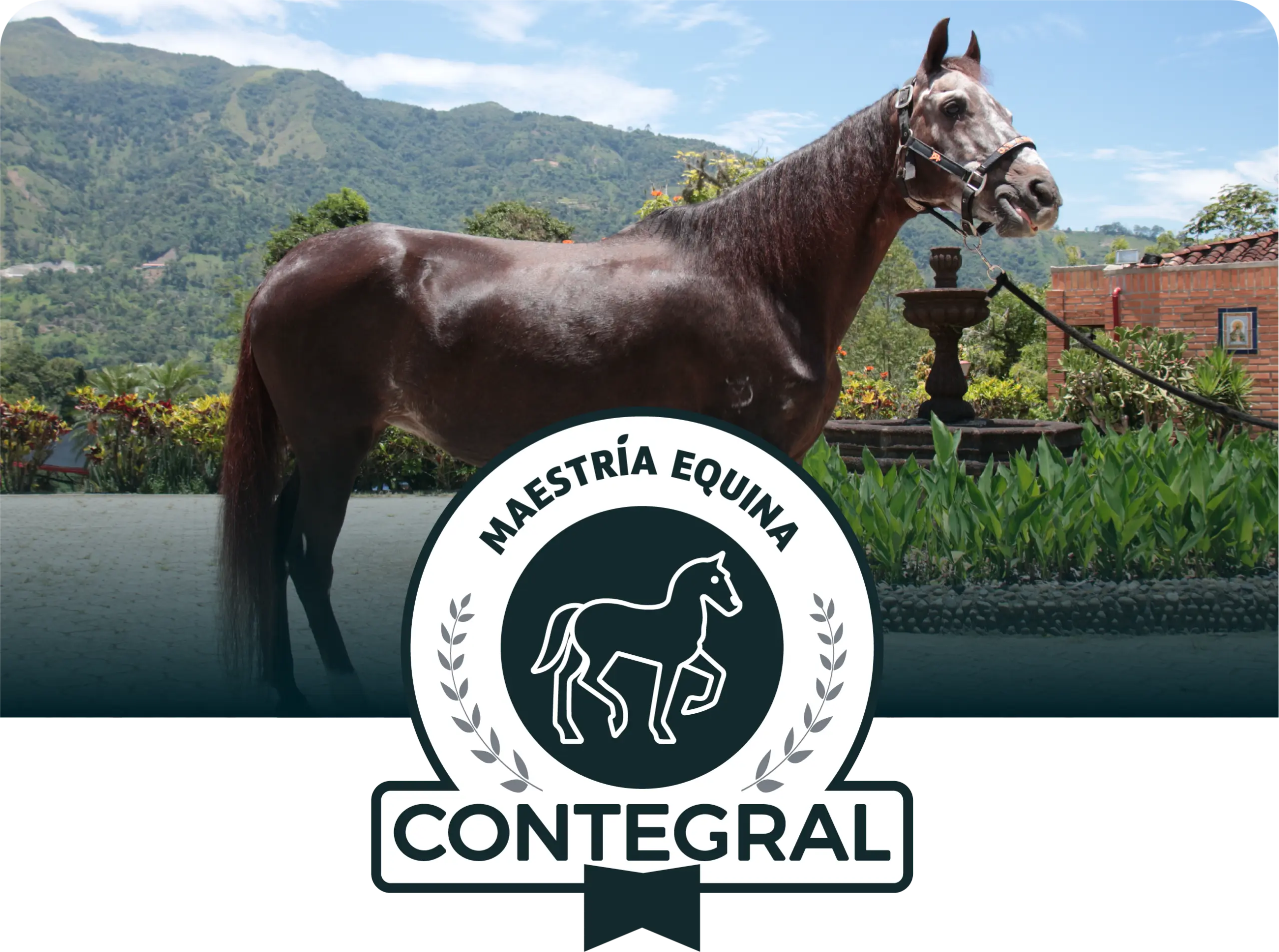 equino